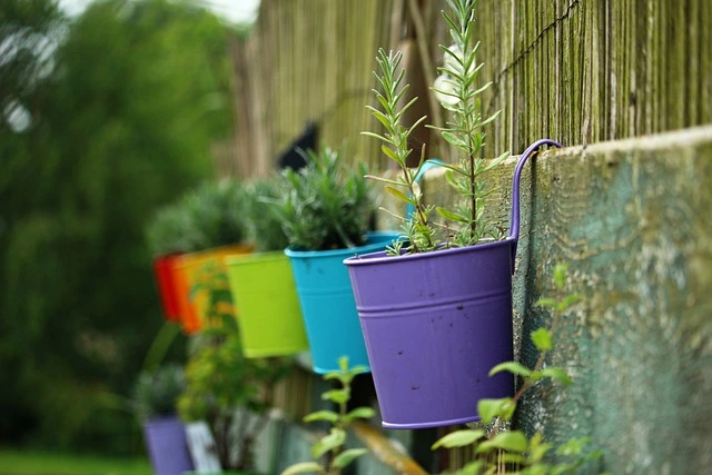 plastic planting pots , Hanging plant pots