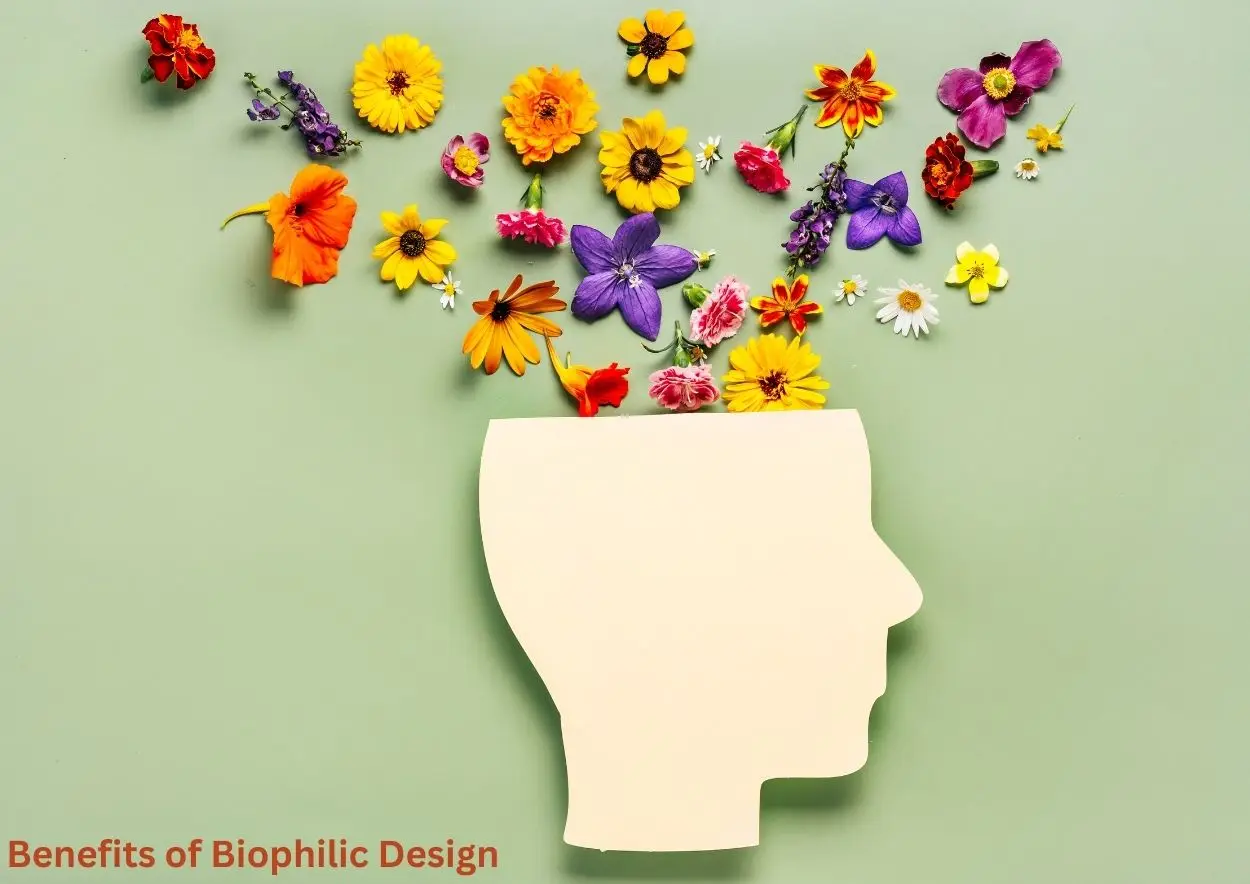 what are the benefits of biophilic design , biophilic design benefits