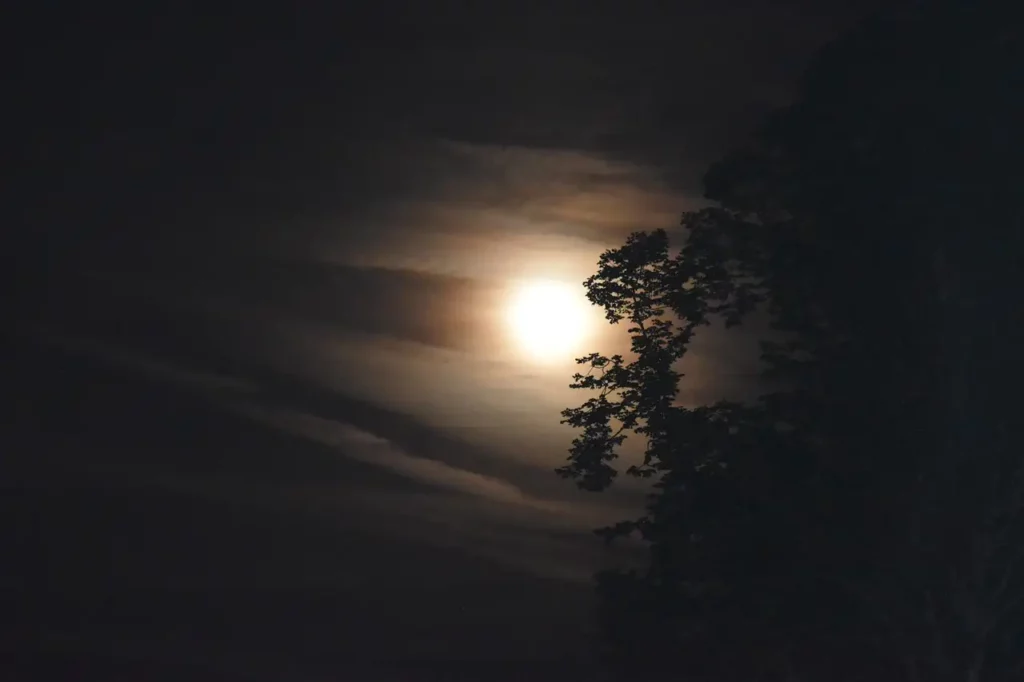 Gardening by the moon , moon gardens