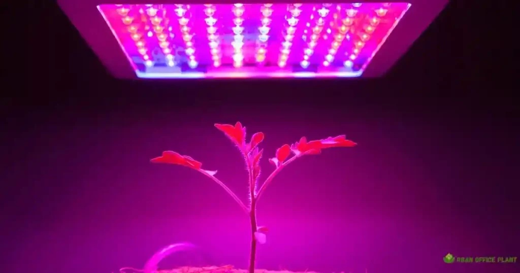 Vivosun Grow Lights