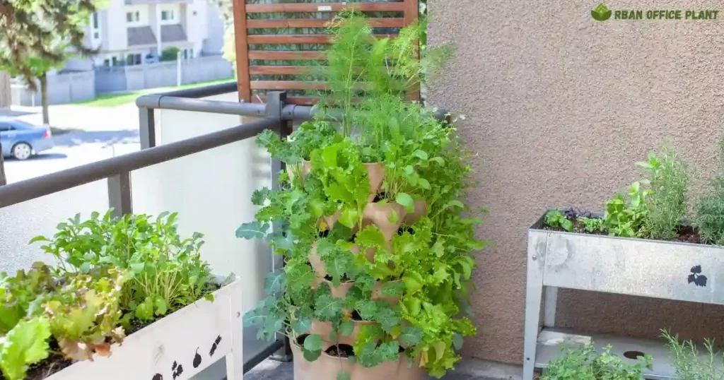 Organic Fertilizers for Balcony Gardens